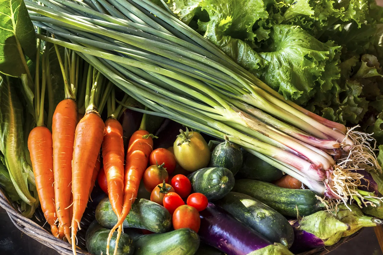 Siem Reap Organic Vegetables