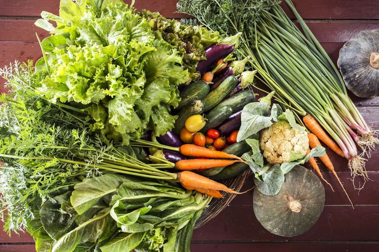 Cambodian Organic Vegetables